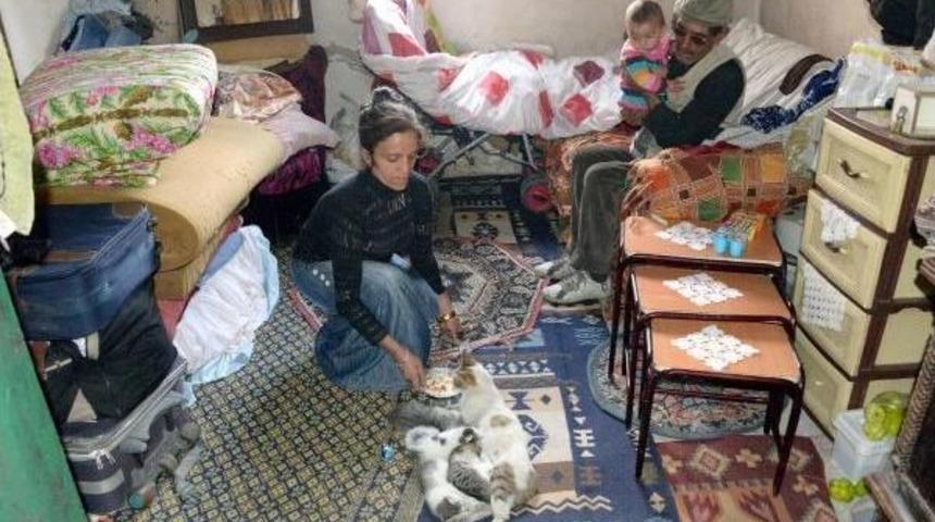 Ge&ccedil;im Sıkıntısı &Ccedil;eken Aile, Sokak Kedisi Ve 4 Yavrusuna Bakıyor