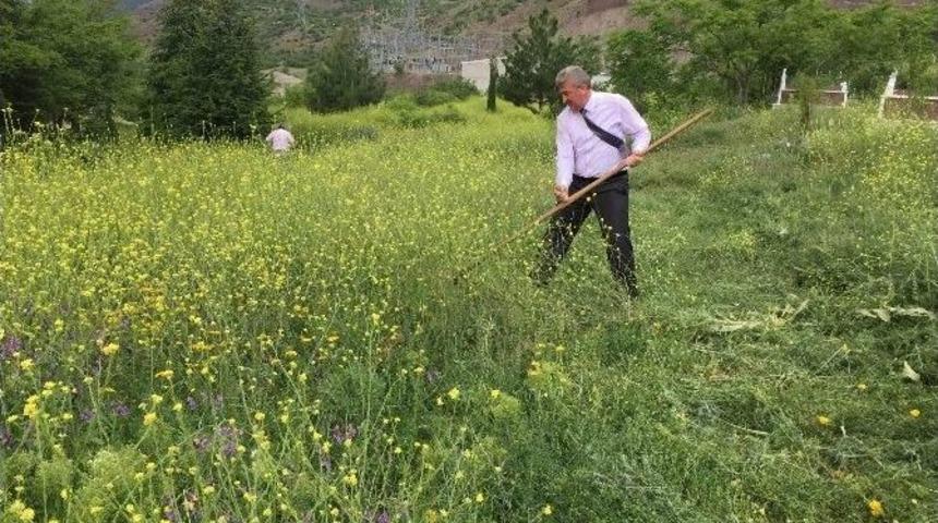 Koyulhisar&rsquo;da Temizlik &Ccedil;alışmaları S&uuml;r&uuml;yor
