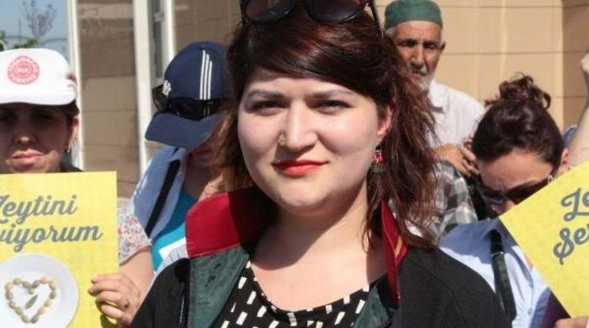 Yırca'da Termik Santral Yapamayan Kolin, Yeni Yer I&ccedil;in Harekete Ge&ccedil;ti