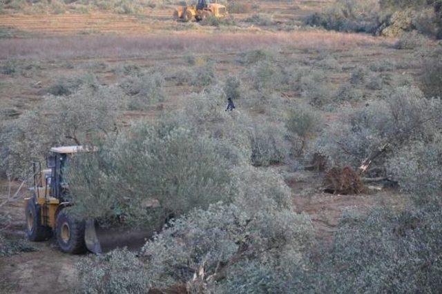 Yırca'da Termik Santral Yapamayan Kolin, Yeni Yer Için Harekete Geçti