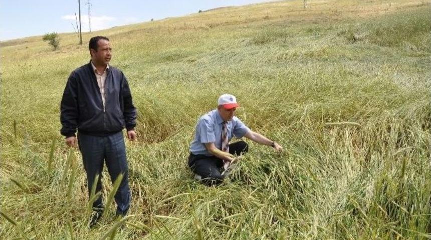 Kırıkkale&rsquo;de Sağanak Ve Dolu Yağışının Yaraları Sarılıyor