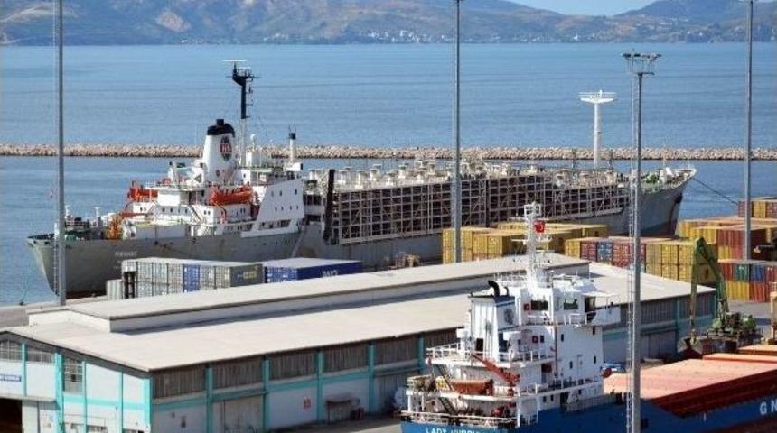 Uruguay&rsquo;dan İthal B&uuml;y&uuml;k Baş Hayvanlar Getirilmeye Başlandı