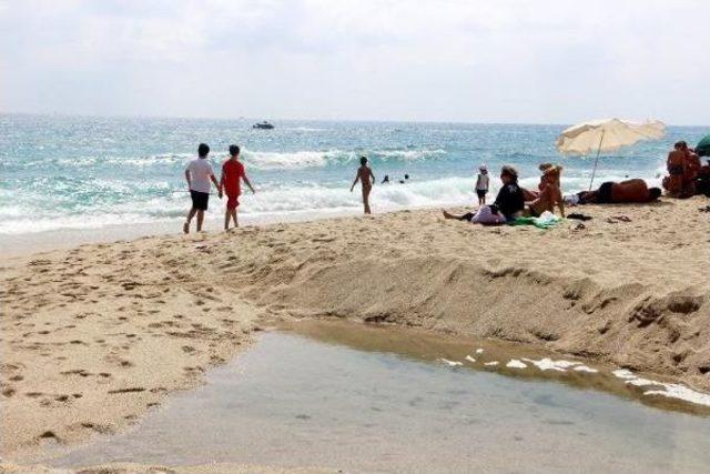 Alanya'daki Mavi Bayraklı Plajda Kurtçuk Krizi Çözüldü