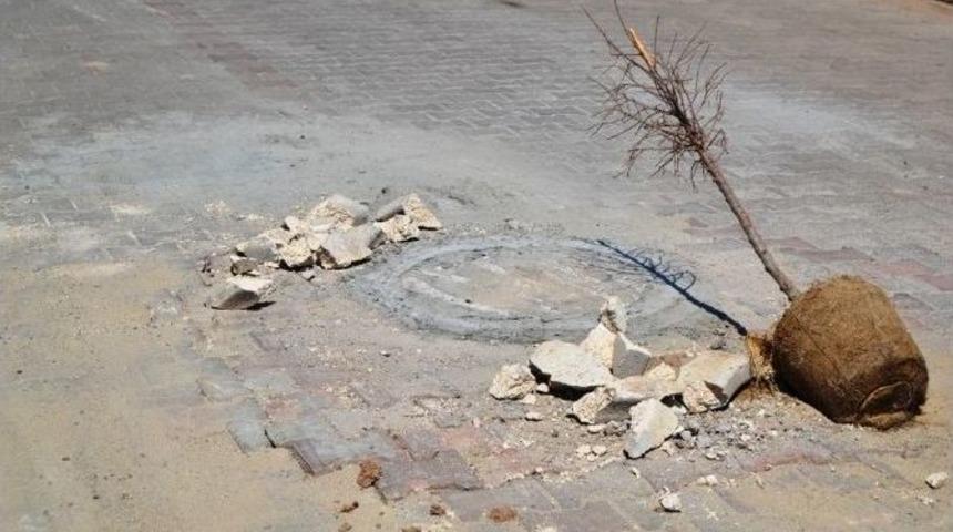 Temizlik &Ccedil;alışmaları Yapılıyor