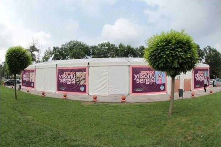 Samek Yılsonu Sergisi Ziyaretçilerini Bekliyor G1