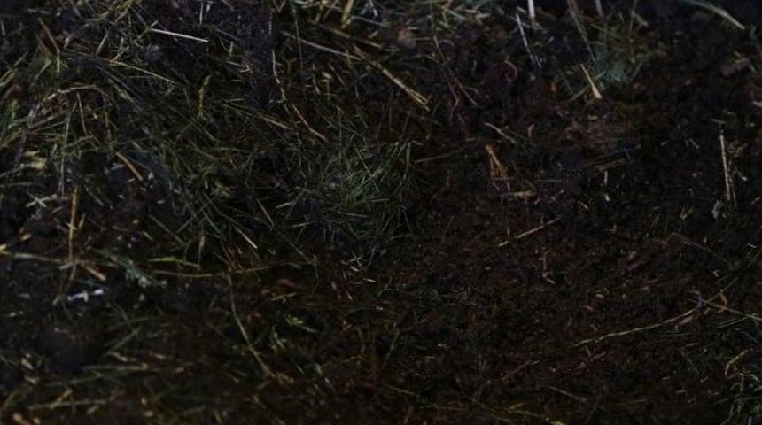 Solucanlarla Vermikompost G&uuml;bre &Uuml;retimi