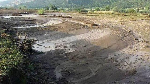 Sel Vuran Arazilerde Hasar Tespit Çalışmaları Sürüyor 1