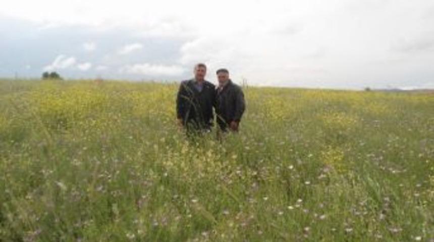 Bolvadin Ziraat Odası&rsquo;ndan İl&ccedil;edeki &Ccedil;ift&ccedil;ilerin Y&uuml;z&uuml;n&uuml; G&uuml;ld&uuml;recek A&ccedil;ıklama