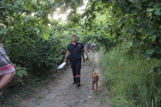 Kaybolan Epilepsi Hastası, Özel Eğitimli Köpeklerle Aranıyor