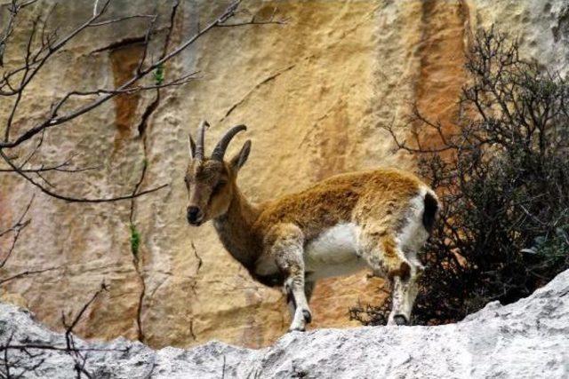 katliam Ihalesi ne Suç Duyurusu 1