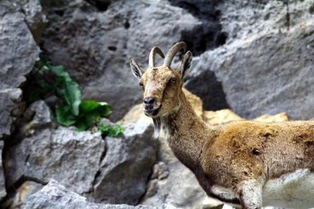 katliam Ihalesi ne Suç Duyurusu 2