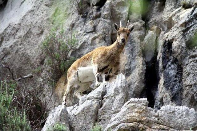 katliam Ihalesi ne Suç Duyurusu 3