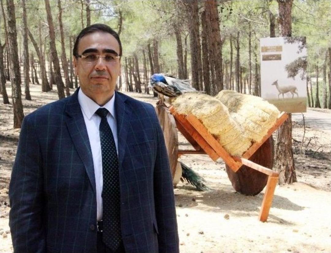 Sıcaktan Bunalan Hayvanlara Buzlu Meyve Kokteyli