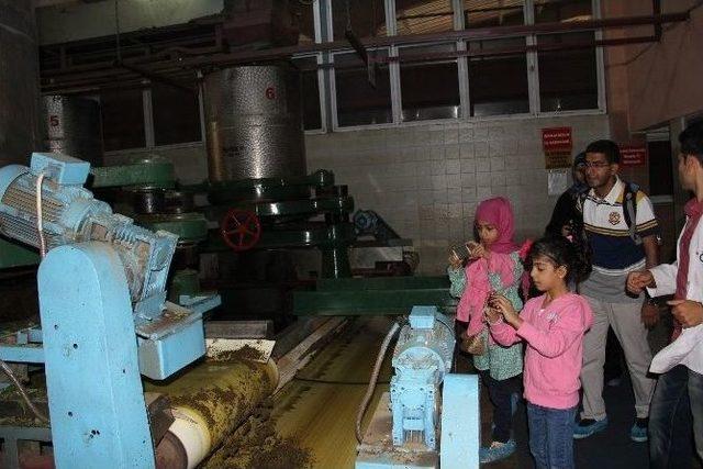 T&uuml;rk &Ccedil;ayına Arap İlgisi 1