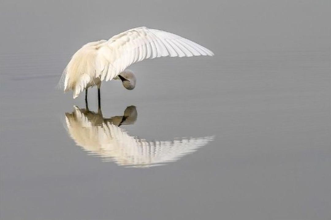 Doğaseverler, &rsquo;cennet&rsquo;i Hem &Ccedil;izdi Hem Fotoğrafladı