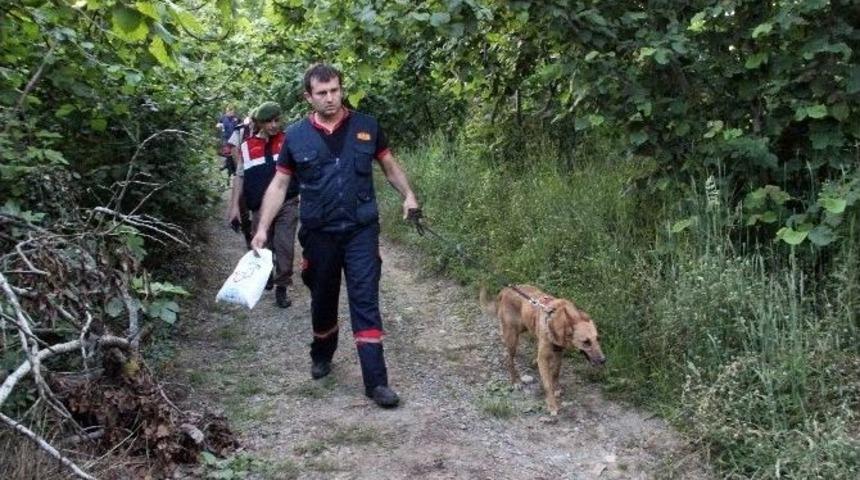 Kaybolan Epilepsi Hastası Eski Bir Evde Bulundu