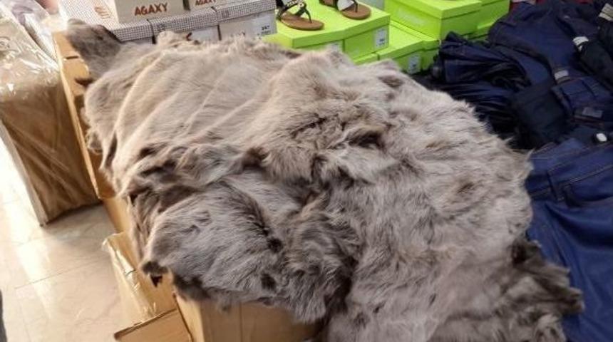 Kapıya Kamyon Getirip Mağazayı Soyan Hırsızlık &Ccedil;etesi Yakalandı