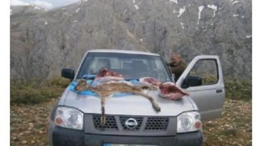 1 Yaşındaki Yaban Ke&ccedil;isini Vurana 13 Bin Lira Para Cezası