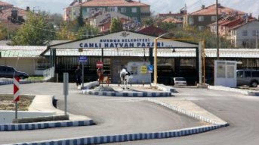 Burdur&rsquo;da Canlı Hayvan Pazarı Tekrar A&ccedil;ılıyor