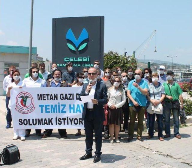 Bandırma Limanı, 9 Bin Büyükbaş Hayvan Gelince Koktu 1