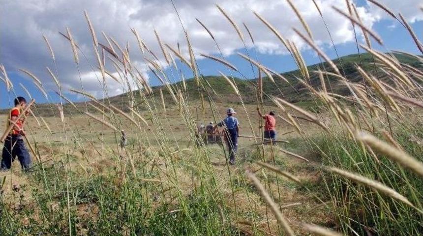 &Ouml;ğrenci &Ccedil;obanlar Karne Alıp G&ouml;reve Başladı
