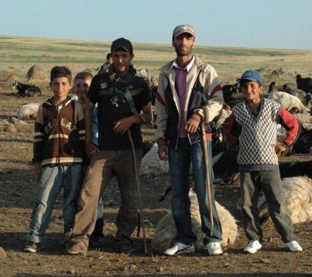 Öğrenci Çobanlar Karne Alıp Göreve Başladı 2