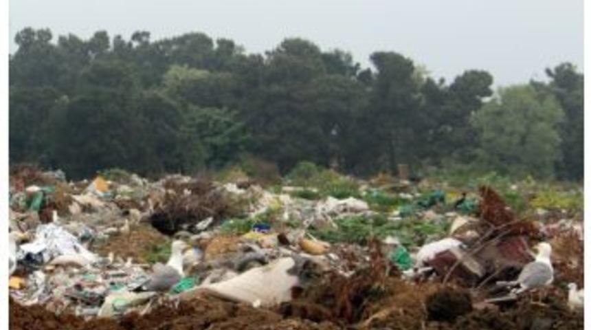 Ordu&rsquo;da &Ccedil;evre Kirliliğine Ağır Ceza