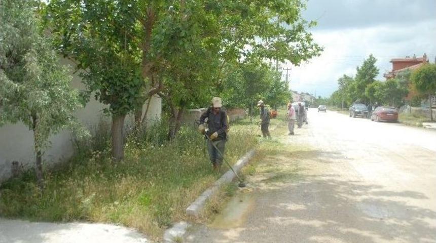 Bolvadin&rsquo;de Ot Temizleme &Ccedil;alışmaları Başladı