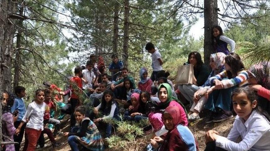 İmam Hatip Ortaokulu &Ouml;ğrencileri Piknikte