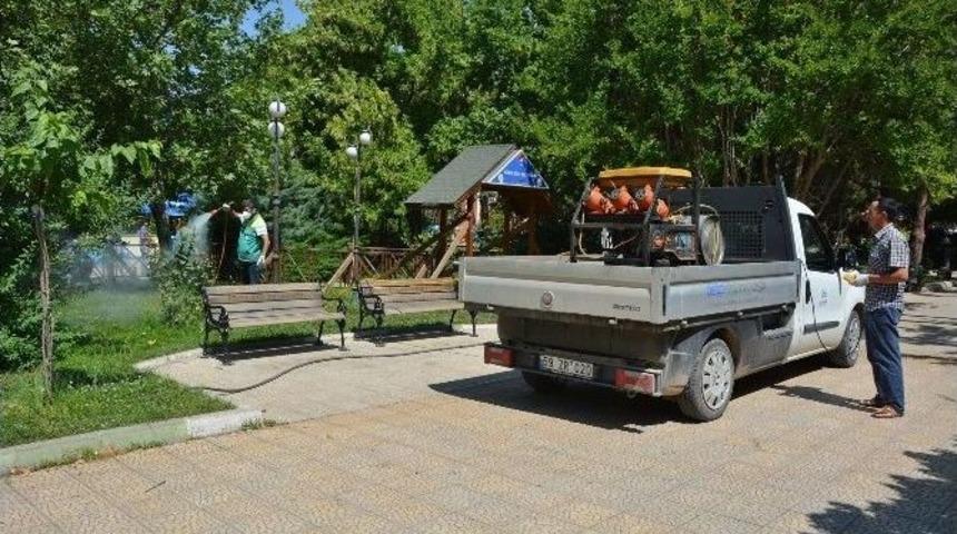 Haşere İle M&uuml;cadele Devam Ediyor