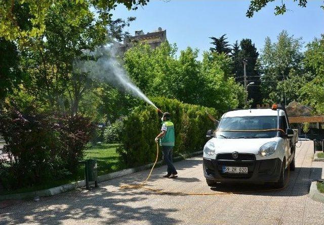 Haşere İle Mücadele Devam Ediyor