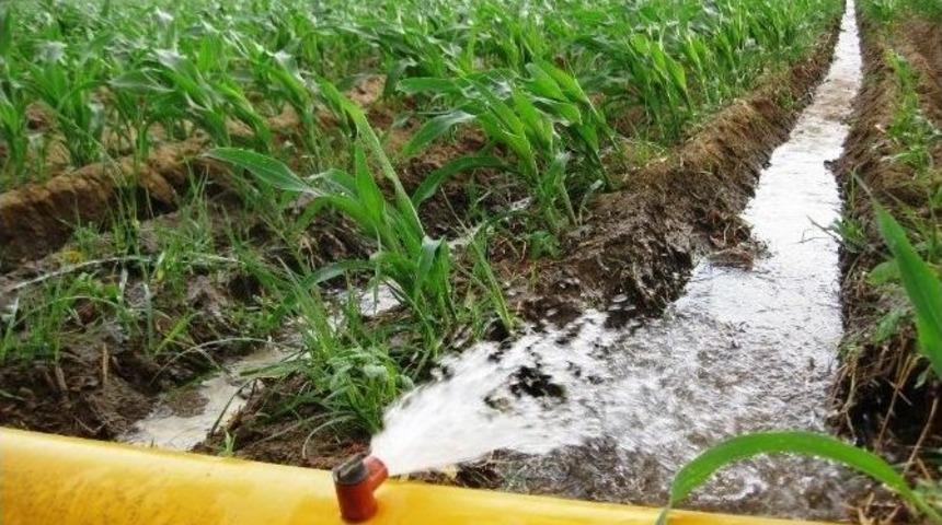 Beydağ Sulaması&rsquo;nda Hidrant Sayısı 476&rsquo;ya Y&uuml;kseldi