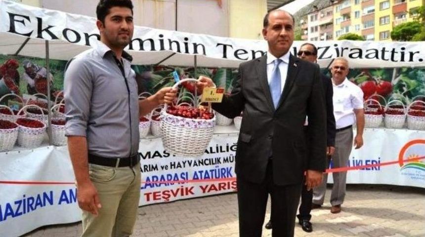 Amasya&rsquo;da Kirazlar Yarıştı