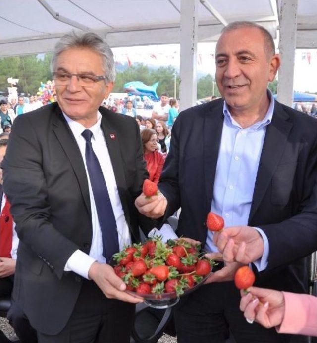 Chp'li Gürsel Tekin, Çilek Festivaline Katıldı