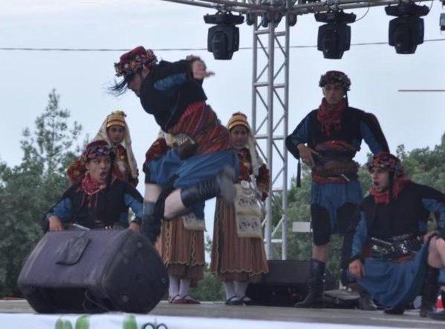 Chp'li Gürsel Tekin, Çilek Festivaline Katıldı