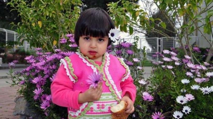 T&uuml;rkiye'de 28 Bin 503 Hasta, Organ Bekliyor