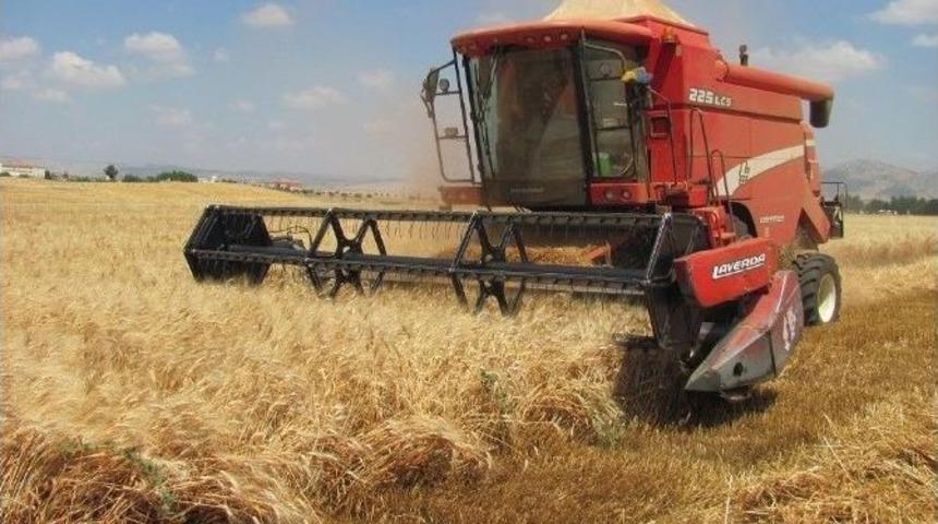 Araban Ovası&rsquo;nda Buğday Hasadı