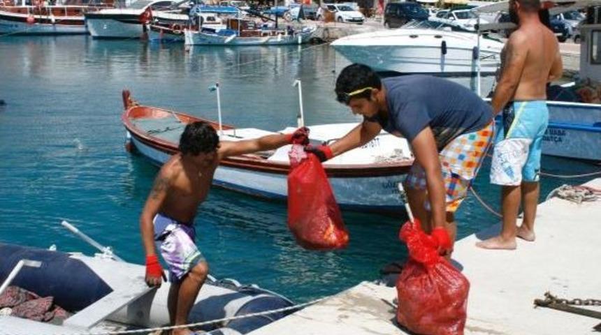Denizden Iki Trakt&ouml;r Dolusu &Ccedil;&ouml;p &Ccedil;ıktı