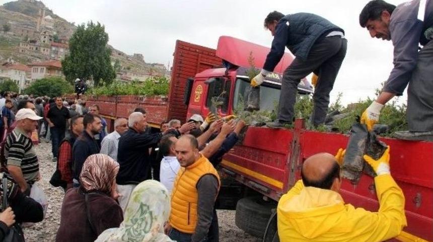 Nevşehir&rsquo;de K&uuml;lliye Anısına Fidan Dağıtımına Başlandı