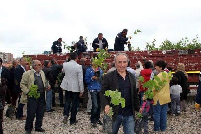 Nevşehir’de Külliye Anısına Fidan Dağıtımına Başlandı