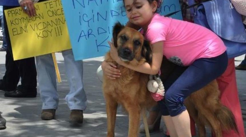 Hayvan Hakları G&ouml;n&uuml;ll&uuml;lerinden Av Tepkisi