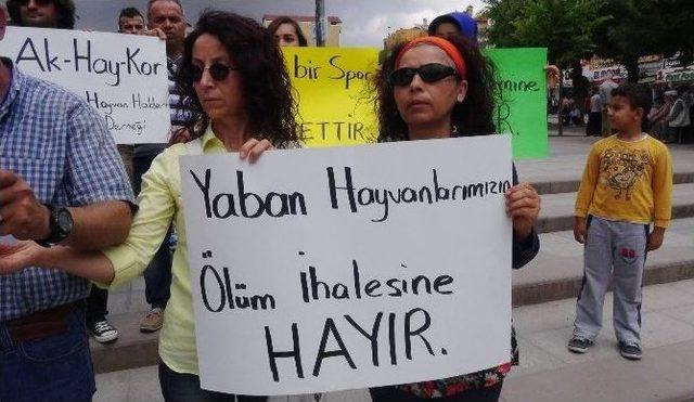 Hayvanseverler Avcılık İhalesini Protesto Etti