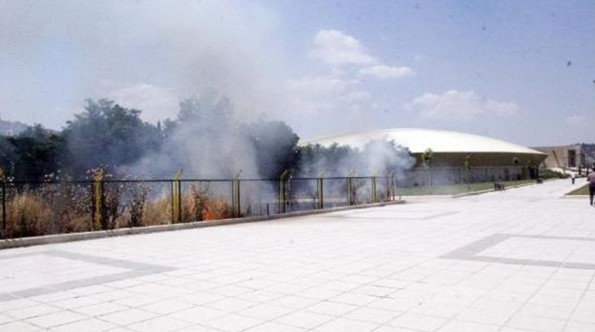 M&uuml;ze Yanındaki Otların Tutuşması Paniğe Yol A&ccedil;tı