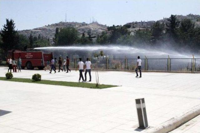 Müze Yanındaki Otların Tutuşması Paniğe Yol Açtı