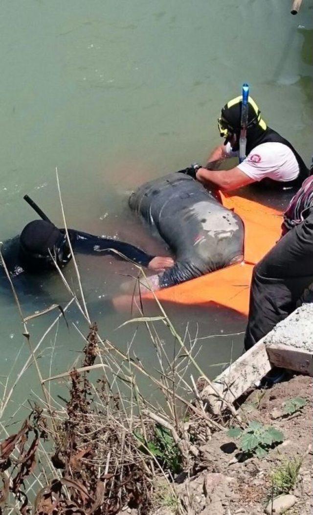 Kayıp Suriyeli'nin Cesedi Irmakta Bulundu