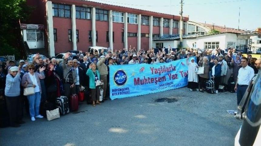 B&uuml;y&uuml;kşehir Tatil Kamplarında