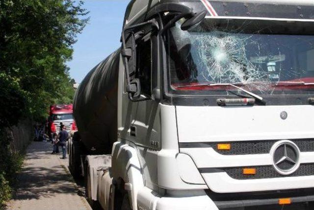 Zonguldak'ta Bir Gecede 7 Aracın Camı Kırıldı