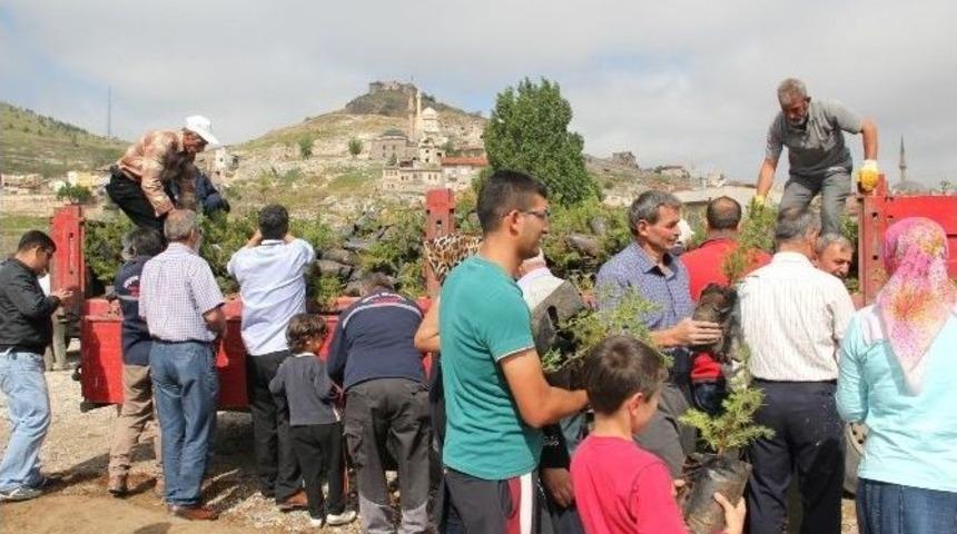 Nevşehir Belediyesi 150 Bin Fidan Dağıttı