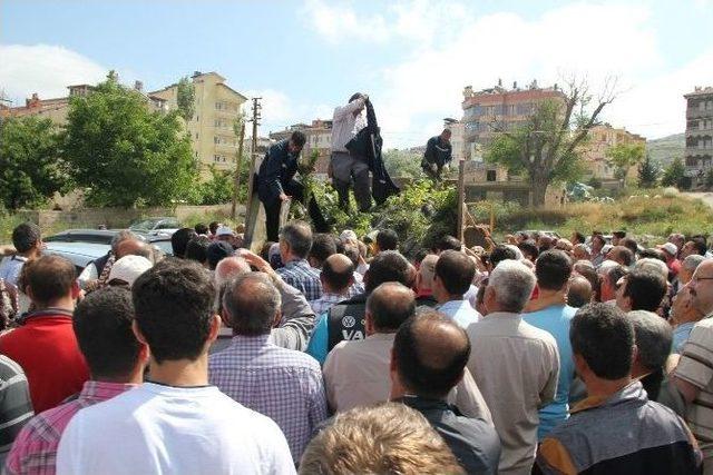 Nevşehir Belediyesi 150 Bin Fidan Dağıttı