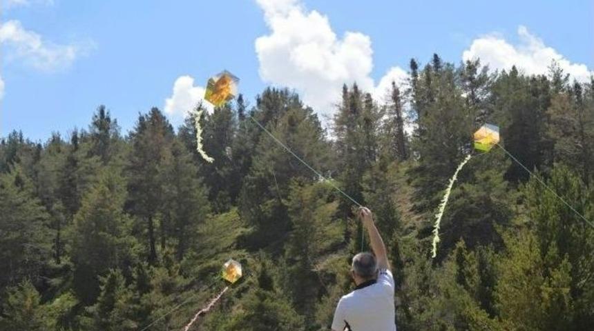 İspir&rsquo;deki U&ccedil;urtma Şenliği Renkli G&ouml;r&uuml;nt&uuml;lere Sahne Oldu